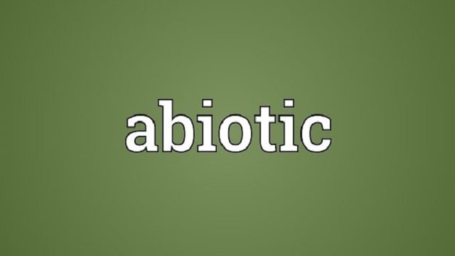 Abiotic