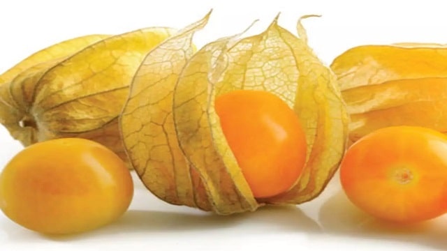 Golden Berry