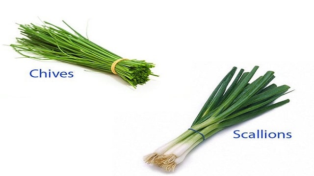 Difference Between Onion, Chives And Shallots