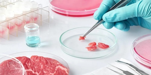 What Is Laboratory Meat